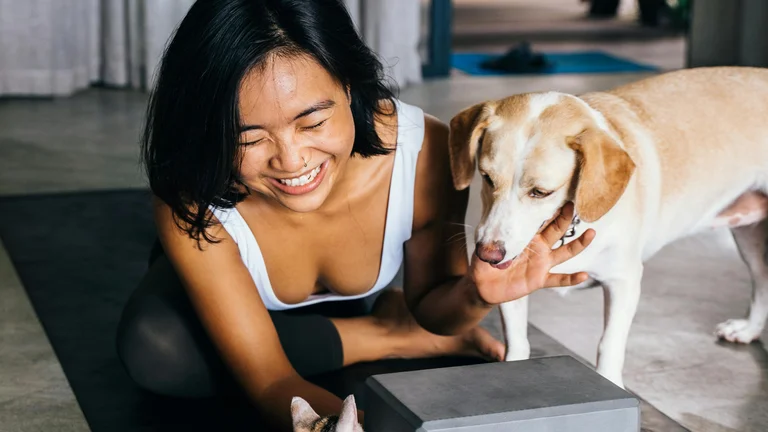 Terapia Ocupacional: Melhore a Vida do Seu Animal