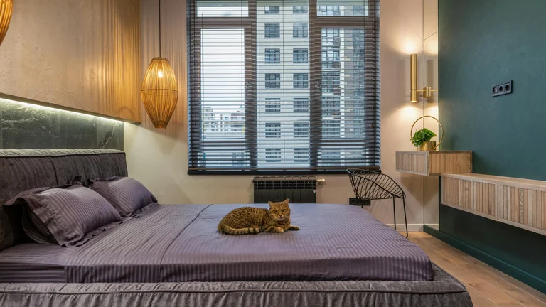 Camas Suspensas e Redes Felinas: O Melhor para seu Gato
