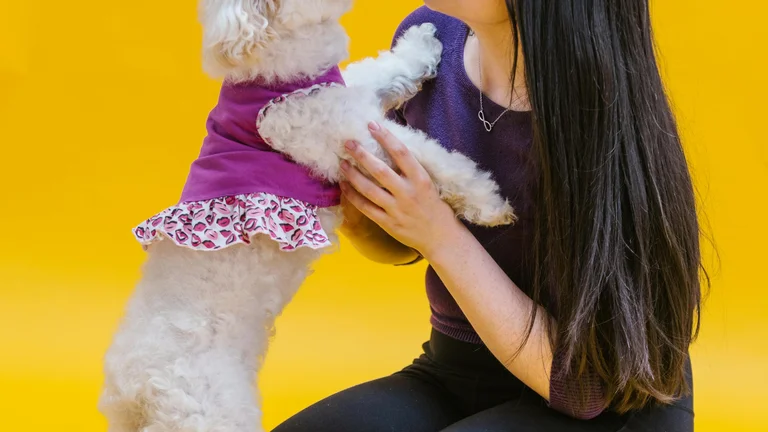 A Relação entre Personalidade e Escolha de Pet