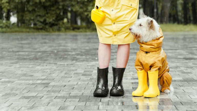 Capas de Chuva e Botas Impermeáveis para Todos