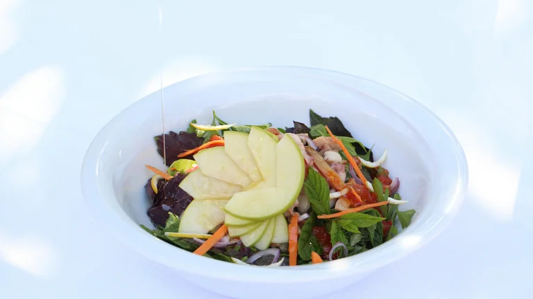 Alimentação Balanceada para Cães de Pequeno Porte