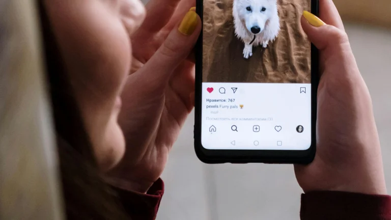A Revolução dos Pets Famosos nas Redes Sociais