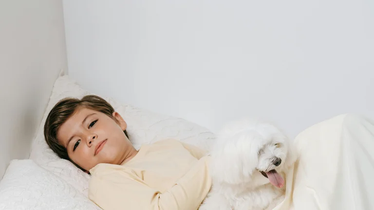Camas Ortopédicas para Pets Idosos - Conforto Garantido