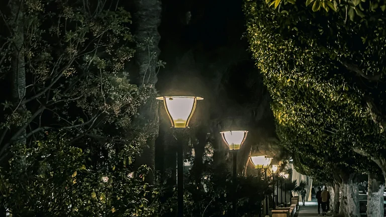 Coleiras Luminosas para Passeios Noturnos Seguros