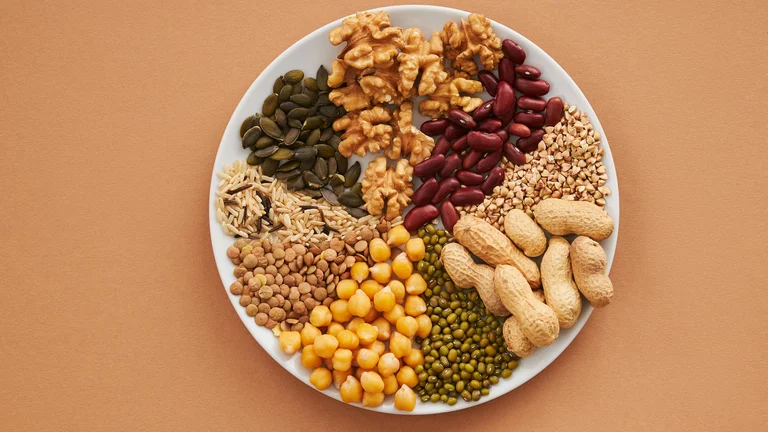Nutrientes Essenciais: A Função Vital das Proteínas