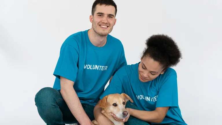 Organizando Campanhas de Adoção para Animais Abandonados