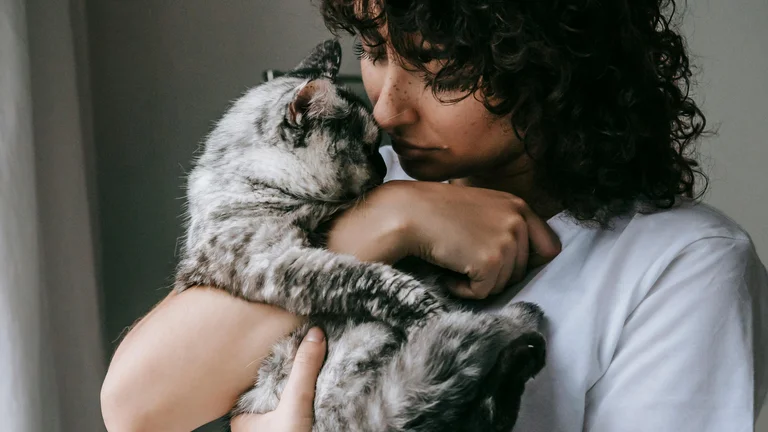Recuperação Emocional de Pets Resgatados: Guia Prático