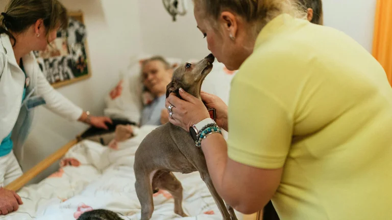 Dietas Especiais para Pets Idosos: Cuide da Saúde Deles