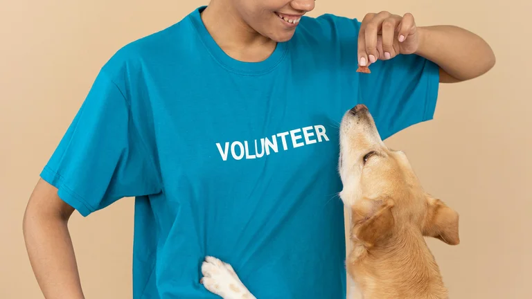 Voluntariado em ONGs de Proteção Animal: Junte-se a Nós!