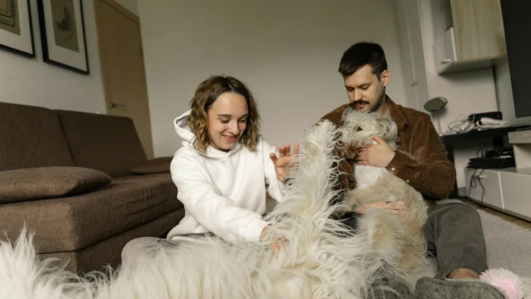 Cuidando de Pets com Hipotireoidismo: Dicas Essenciais