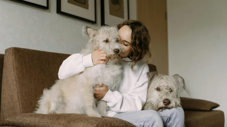 A Fascinante História da Domesticação dos Cães