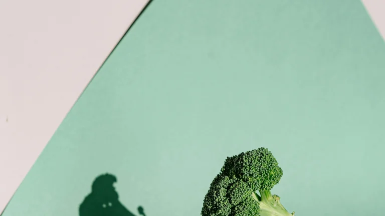 Aumente a Saúde das Suas Articulações com Alimentos Funcionais