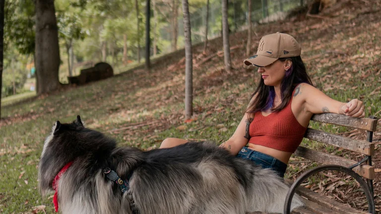 Treinamento Básico para Animais Resgatados e sua Importância