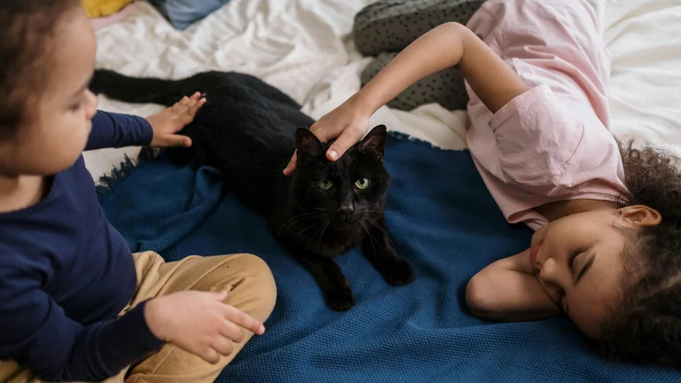 Preparando a Casa para um Novo Pet: Guia Completo